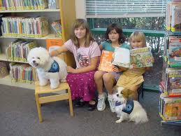 therapy dog in school