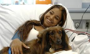 therapy dog hospital