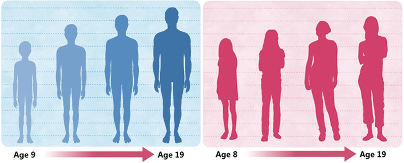 Puberty