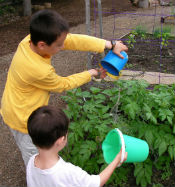 Gardening