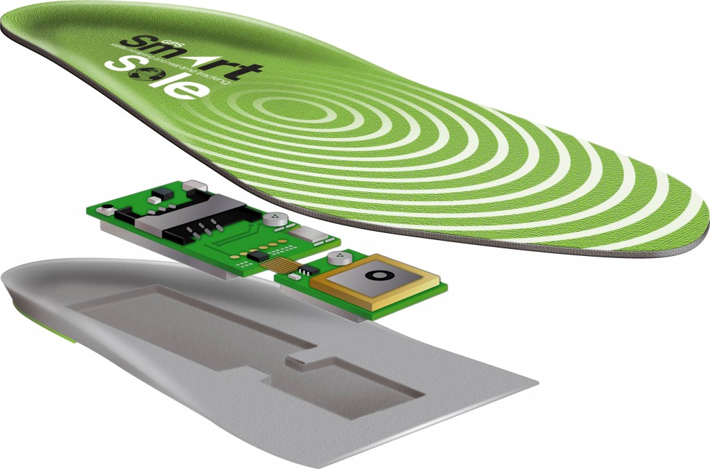 SmartSole Cross Section